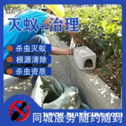 白蚁防治专业杀白蚁灭白蚁团队抓白蚁治白蚁白蚁清理家庭除白蚁白